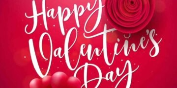 Bollywood Celebrities, Valentine's Day Weddings, Celebrity Marriages, Bollywood News, Entertainment News, Bollywood Stars Married on Valentine's Day, Sanjay Dutt Marriage, Arshad Warsi Marriage, Hardik Pandya Marriage, Ram Kapoor Marriage, Mandira Bedi Marriage, Bollywood Celebrities Valentine's Day Weddings, Famous Couples Married on Valentine's Day, Bollywood Celebrity Marriages,valentine's day,valentine's day gift, valentine's day quotes, valentine day, valentine's day wishes, happy valentine's day my love, valentine day wishes, valentine day quotes, happy valentines day wishes quotes, valentine day wishes for lover, valentine, valentine's day love quotes, valentines day wishes, valentines day, love quotes, happy valentines day images, feb 14 special day, valentine quotes, valentine's day images, valentine wishes, valentine day image, valentine's, valentine day message, saint valentine, st valentine, valentine day images, valentine's day 2025, valentine's day wish, february 14 special day in india, valentine day wish, valentine's day messages, valentine wish, happy, love, valentines day quotes, february 14 special day, valentine day 2025, valentine images, valentine messages, lovers day quotes, video download, valentines day wish,