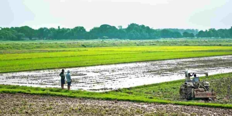Project Vasundhara: Revolutionizing Farming in Madhya Pradesh 1 Madhya Pradesh, Project Vasundhara, sustainable farming, organic farming, farmer producer companies, Samunnati, agriculture India, low-residue farming,