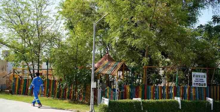 Cairn Oil & Gas, Vedanta, Sustainability Report 2025, CO2 Reduction, ESG, Net Zero, Methane Reduction, Renewable Energy, Environmental Impact