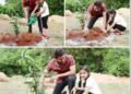 5 Indian Stars Championing Environmental & Social Causes 2 Mahesh Babu Green India Challenge, Alia Bhatt sustainable living, Priyanka Chopra social causes, Shah Rukh Khan philanthropy, Dia Mirza environment