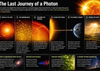 Photon