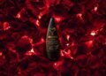 Looking for the Perfect Couple Chocolate? Meet a New Kind of Date-Night Experience 3 Bottle of Anyday ready-to-pour liquid couple chocolate on a romantic date night table